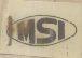 MSI