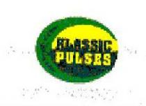KLASSIC PULSES