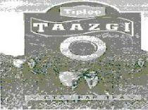 TIPTOP TAAZGI