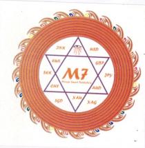 M7