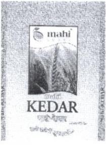 mahi KEDAR