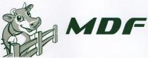 MDF