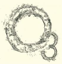 O3