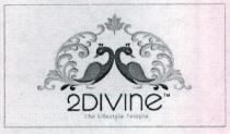 2DIVIne