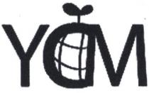 YDM