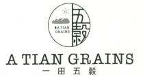 A TIAN GRAINS