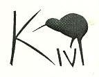 Kivi