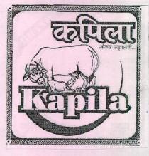 Kapila