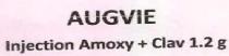 AUGVIE Injection Amoxy+ Clav1.2g