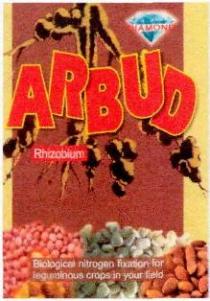 DIAMOND ARBUD Rhizobium