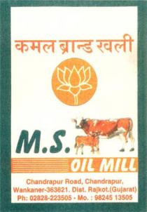 KAMAL BRAND KHALI OF KAMAL AND COW