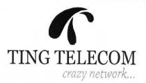 TING TELECOM