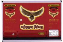 GOLDEN WINGS OF KITE