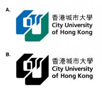 City University of Hong Kong and its Chinese Script