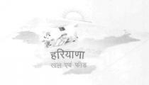 HARYANA KHAL AND FEED