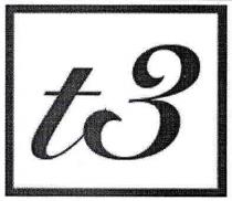 t3