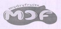 MYDRYFRUITS MDF
