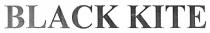 BLACK KITE