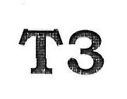 T3