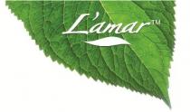 LÃ¢ÂÂamar green leaf