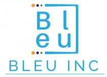 BLEU INC