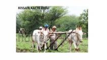 KISSAN KACHI KHAL