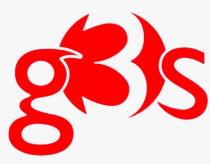 G3S
