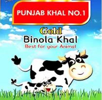 PUNJAB KHAL NO. 1 Gold Binola khal