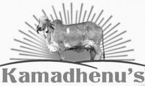KAMADHENU'S