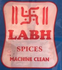 LABH SPICES MACHINE CLEAN