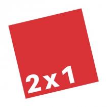 2X1