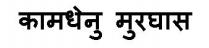 Kamadhenu Murghas