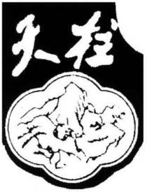 Tian Zhu