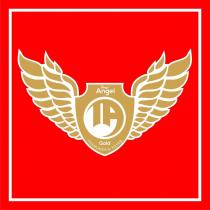 TA with Tony's Angel Gold