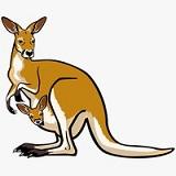 KANGAROO FLOOR WIPER