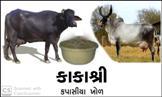 KAKASHRI KAPASIYA KHOL
