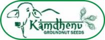KAMDHENU GROUNDNUT SEEDS