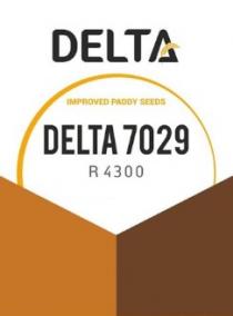 Delta-7029 R 4300