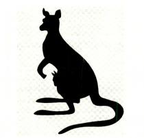 Kangaroo