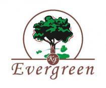 KF EVERGREEN