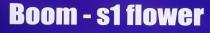 BOOM- S1 FLOWER