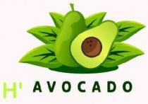 H' AVOCADO