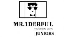 Mr 1DERFUL - THE MAGIC CAPE JUNIORS