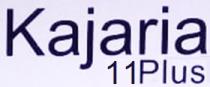 KAJARIA 11PLUS