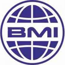 BMI
