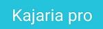 KAJARIA PRO