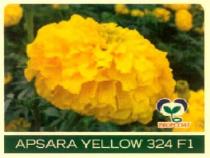 APSARA YELLOW 324 F1