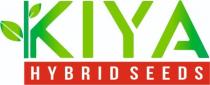 KIYA HYBRID SEEDS