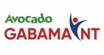 Avocado GABAMA NT