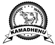 KAMADHENU